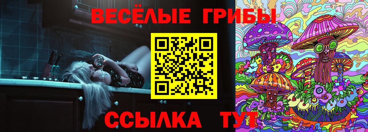 Новошахтинск  Галлюциногенные грибы ЛСД  Вход с VPN 